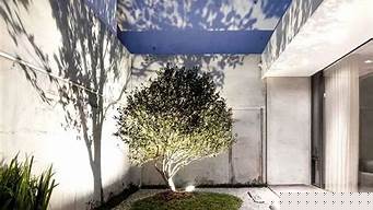 深圳天井花園景觀設(shè)計(jì)（深圳天井花園景觀設(shè)計(jì)招聘）